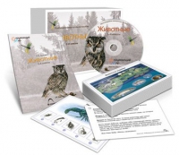 Комбинированное наглядное пособие «Животные» - «globural.ru» - Лангепас