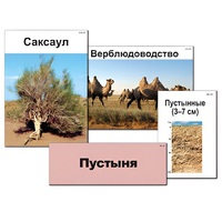 Модель-аппликация "Природные зоны России" - «globural.ru» - Лангепас