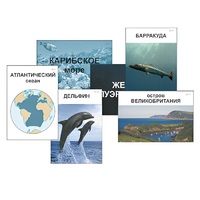 Модель-аппликация "Океаны. Знакомство" (ламинированная) - «globural.ru» - Лангепас