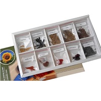 Коллекция "Плоды сельскохозяйственных растений" (вариант 2) - «globural.ru» - Лангепас