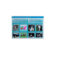 Стенд-планшет светодинамический «Изучение асептических и гнойных воспалительных процессов» - «globural.ru» - Лангепас