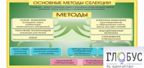Стенд "Методы селекции и биотехнологии" - «globural.ru» - Лангепас