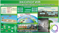 Стенд "Экология. Антропогенное воздействие на биосферу" - «globural.ru» - Лангепас