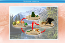 Интерактивные курсы. Биология 7 класс. Базовый - «globural.ru» - Лангепас