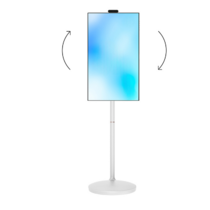 Мобильная панель Mobiscreen NOVA 32" - «globural.ru» - Лангепас