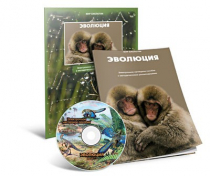 Электронное наглядное пособие «Эволюция» - «globural.ru» - Лангепас