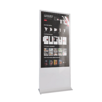 Интерактивный сенсорный киоск Nova 55" - «globural.ru» - Лангепас