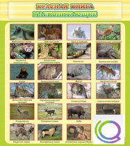 Стенд "Красная книга - млекопитающие" - «globural.ru» - Лангепас